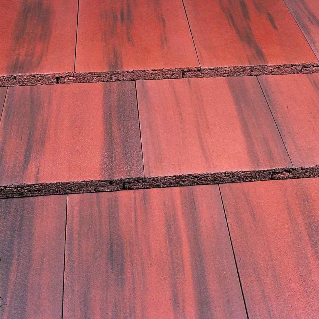 Old English Dark Red