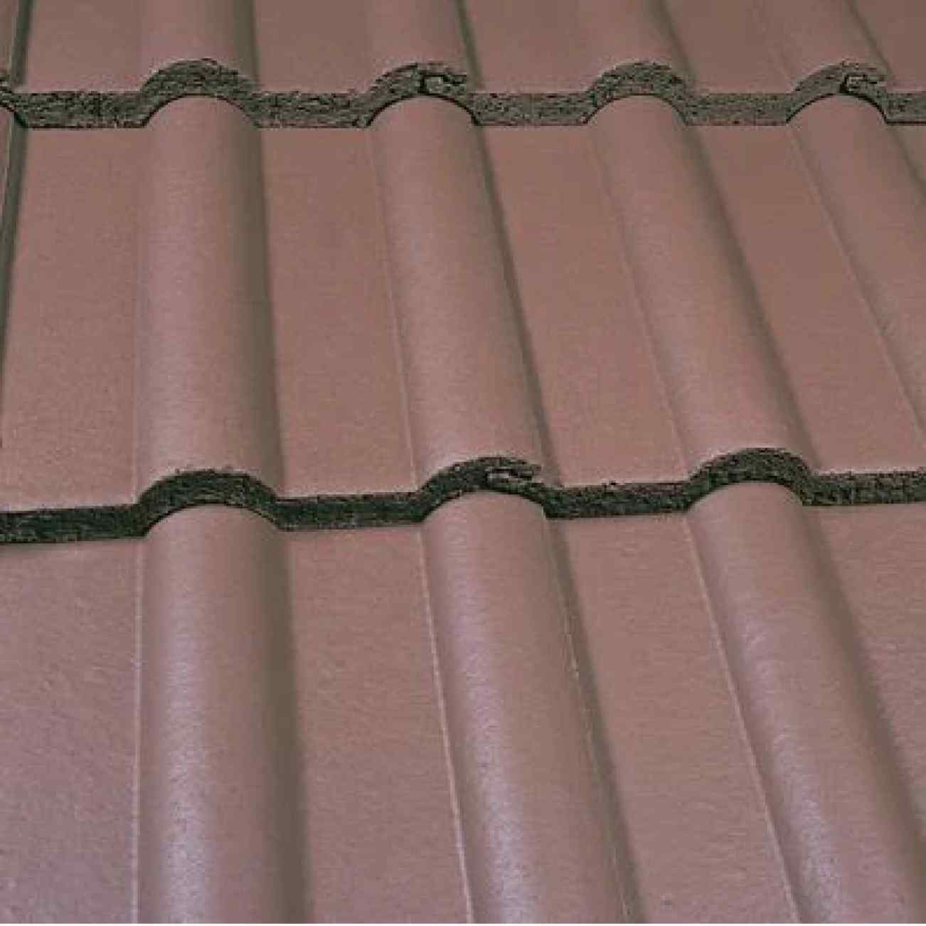 Smooth Brown