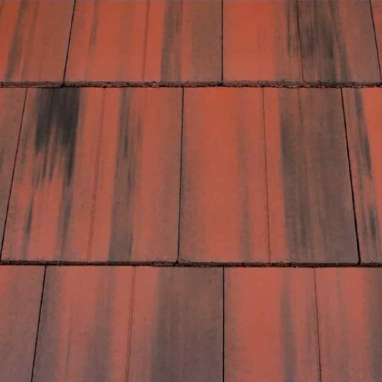Old English Dark Red