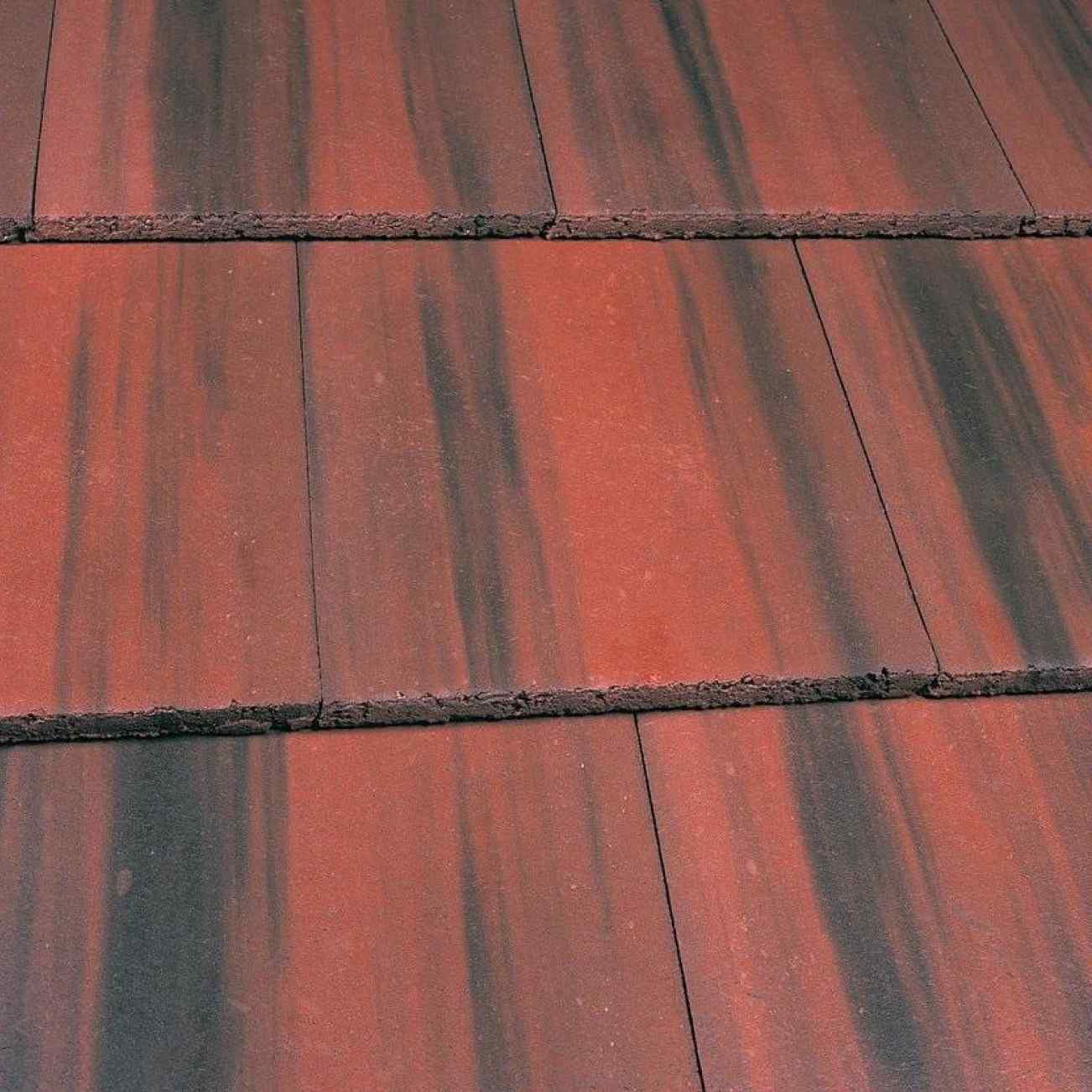 Old English Dark Red