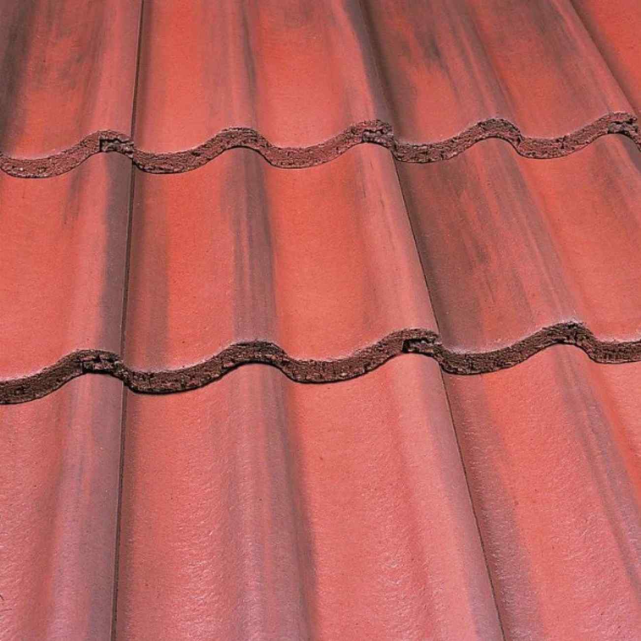 Old English Dark Red