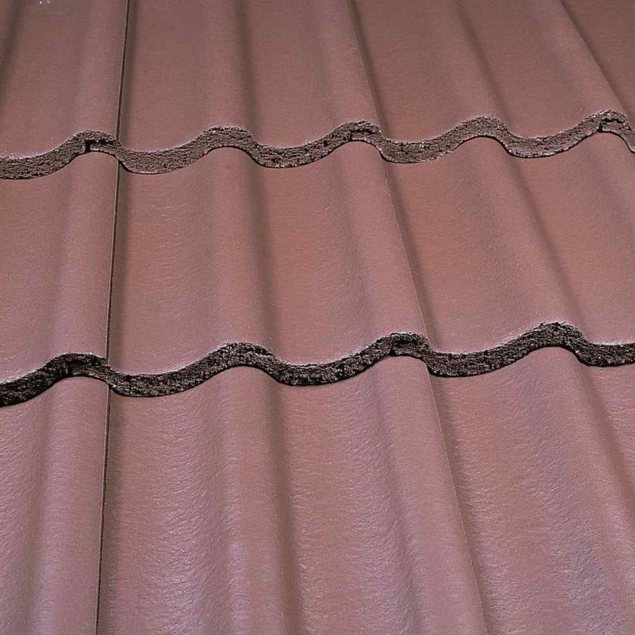 Smooth Brown