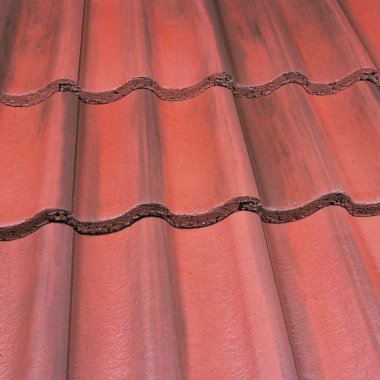 Old English Dark Red