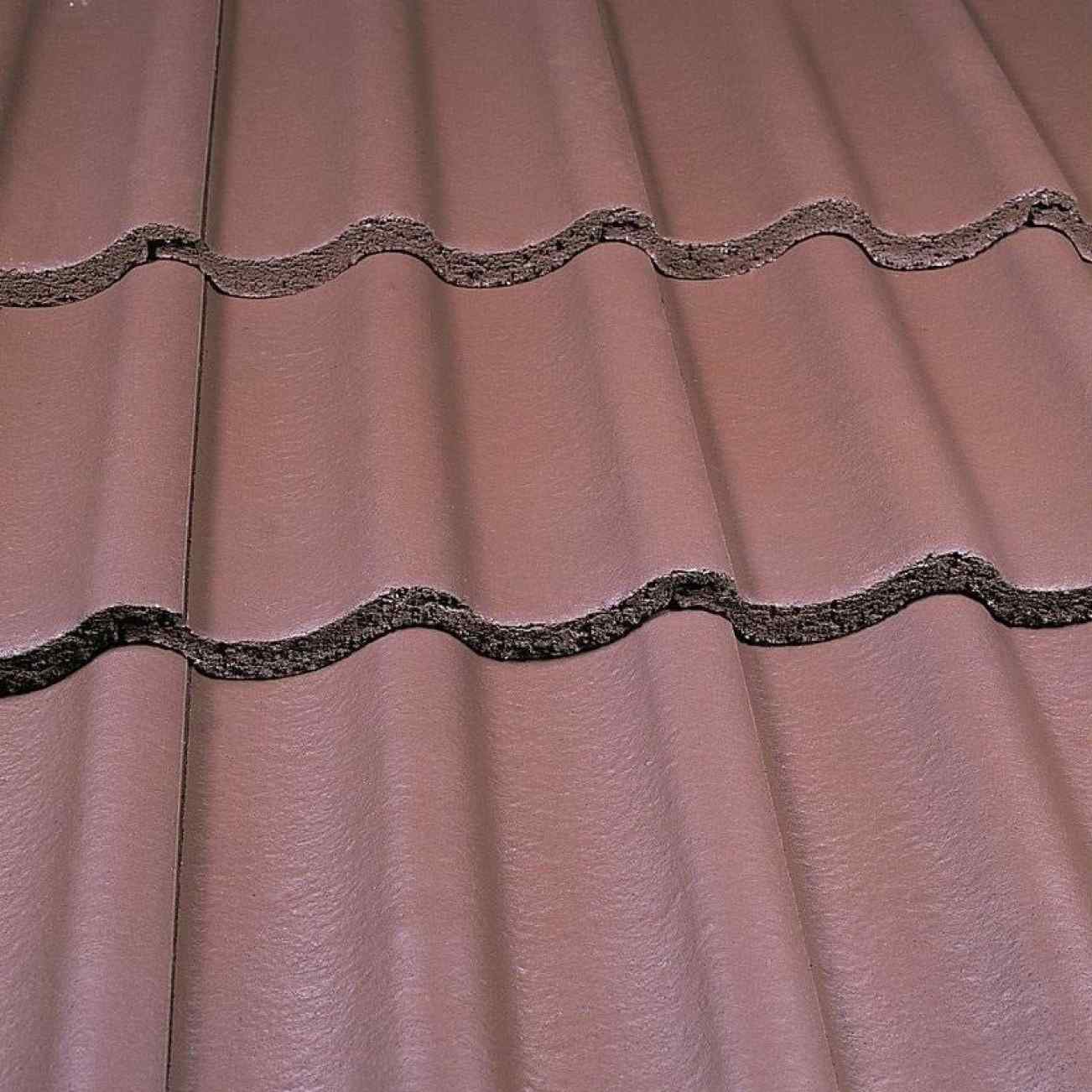 Smooth Brown