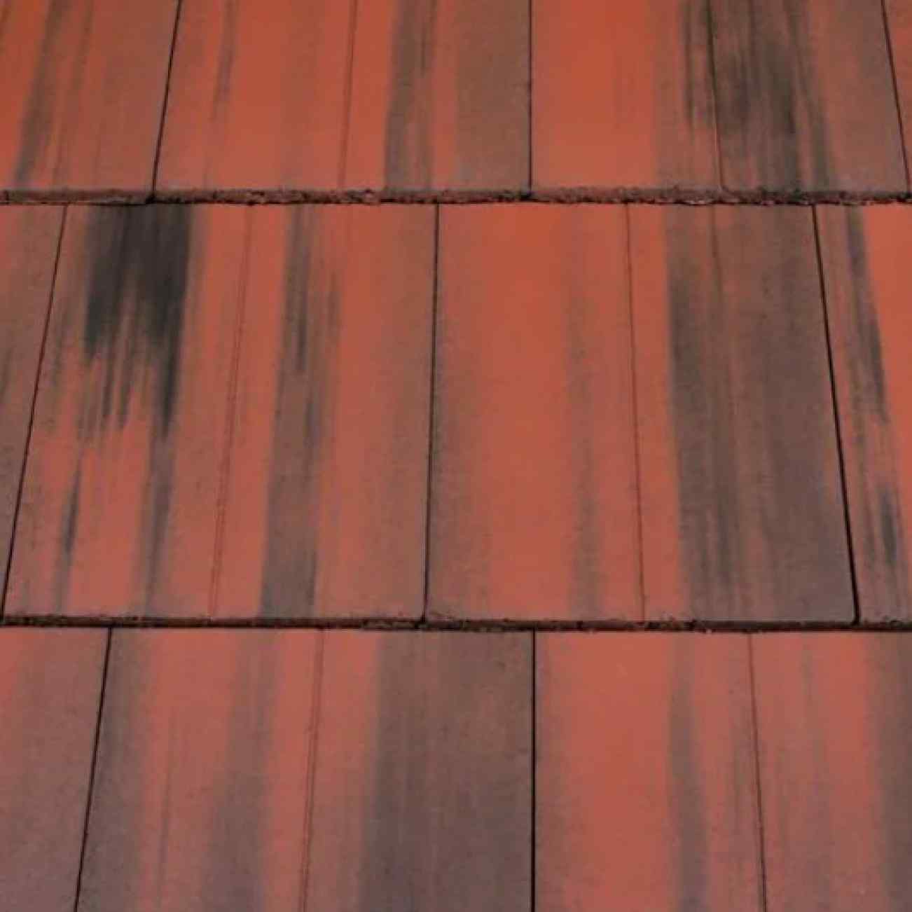 Old English Dark Red